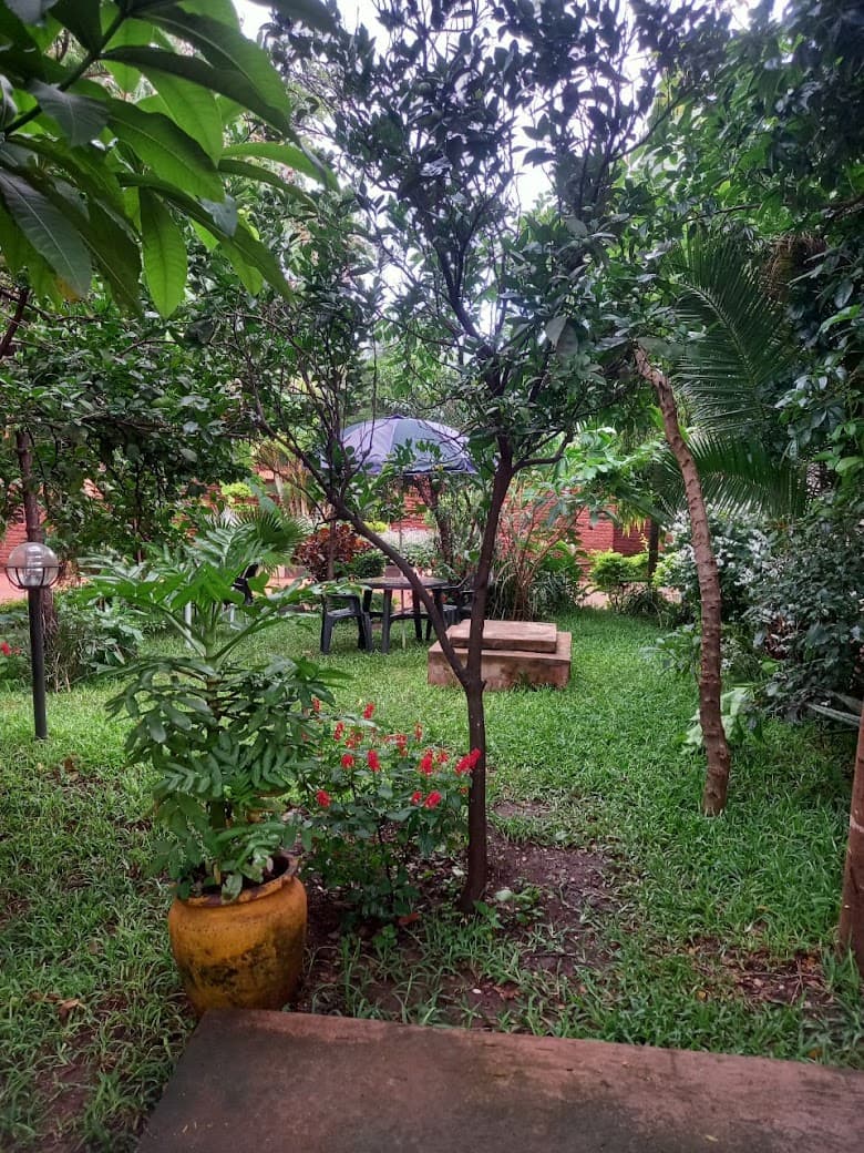 The lodge garden with a green lawn, flowering plants, a terracotta pot and an umbrella table under the trees