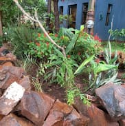 A rock garden with red flowers and green plants